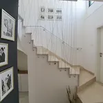 Apartmán Lemon House *